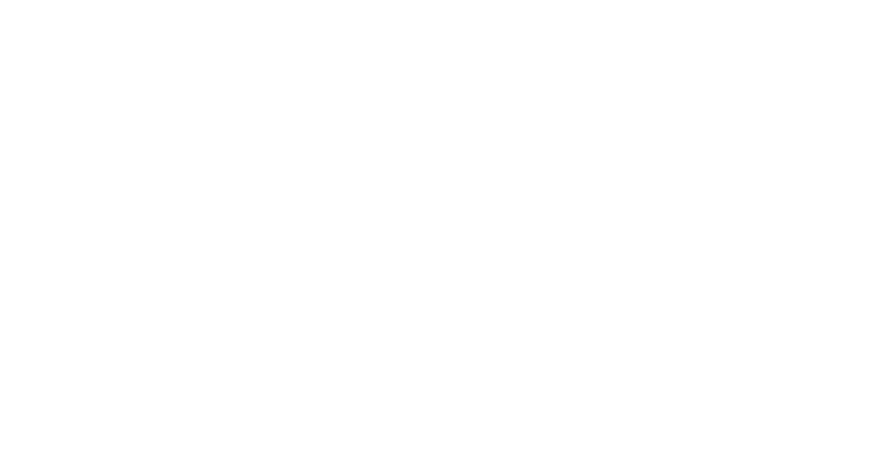 light logo